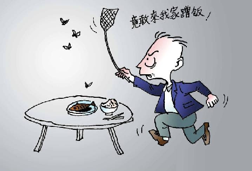 餐(cān)廳驅蠅滅蠅服務