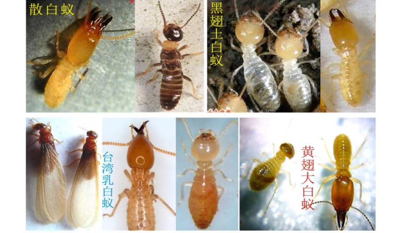 圖片36.png 圖片36.png