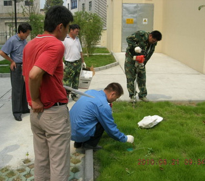 上門除四害,消殺消毒,白蟻防治,滅蟑螂,滅（miè）老鼠（shǔ）,滅臭蟲(圖1)