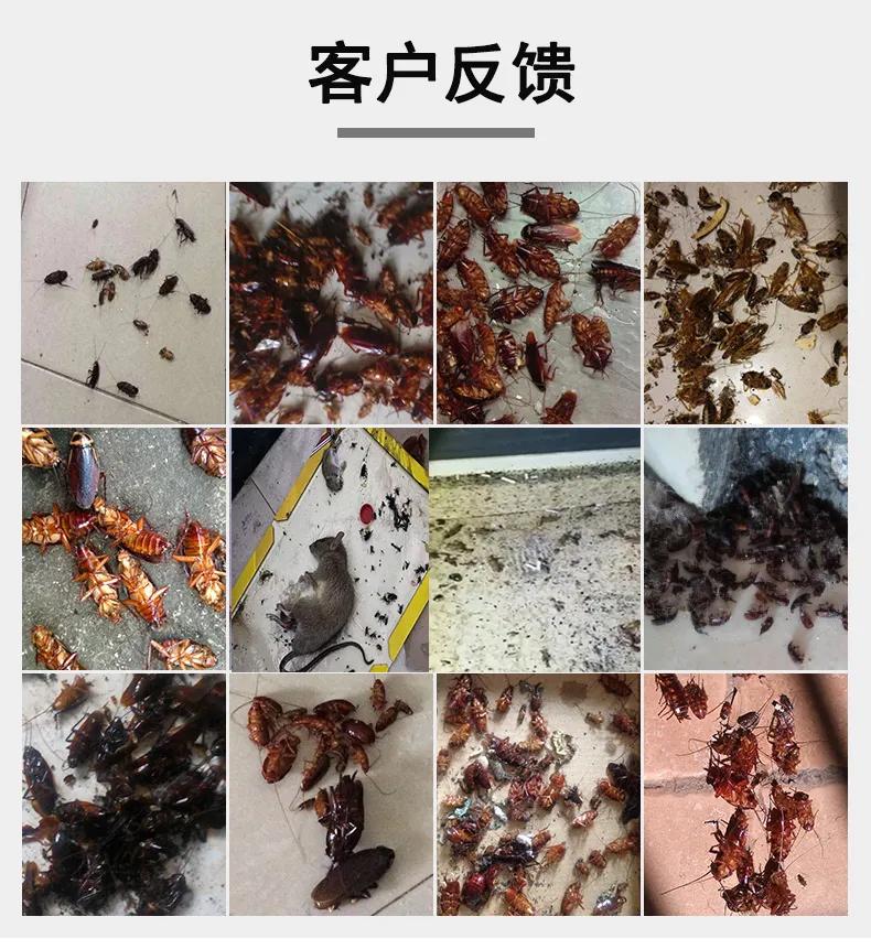 珠海橫琴新區(qū)街道(dào)滅蟑螂防鼠 橫琴滅蟲 橫琴滅(miè)跳蚤 臭蟲上門公司