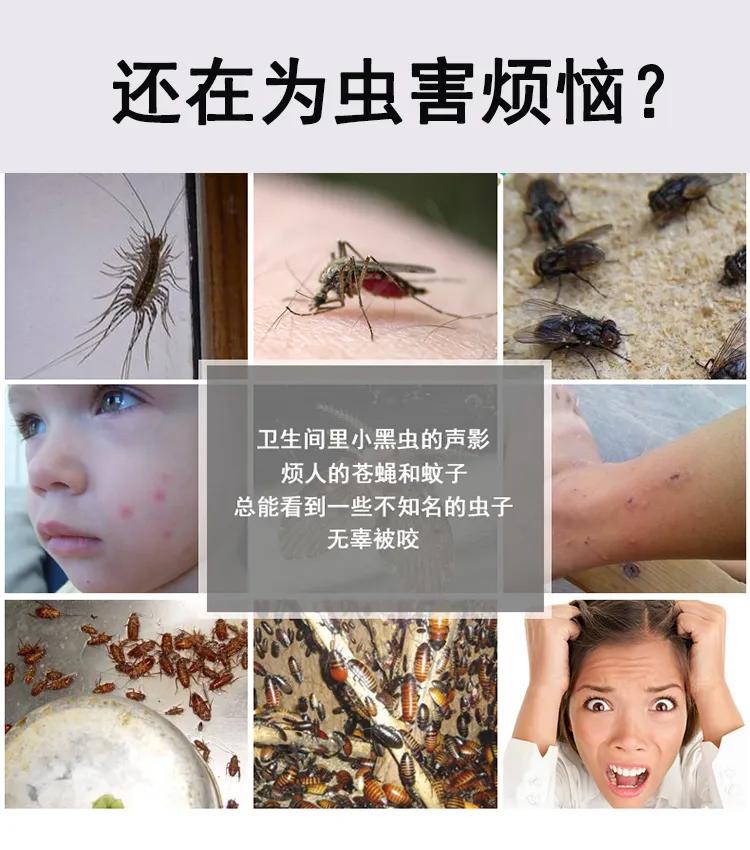 珠海橫琴新區街道滅蟑螂防鼠 橫琴滅蟲 橫琴滅跳蚤 臭蟲(chóng)上門公司