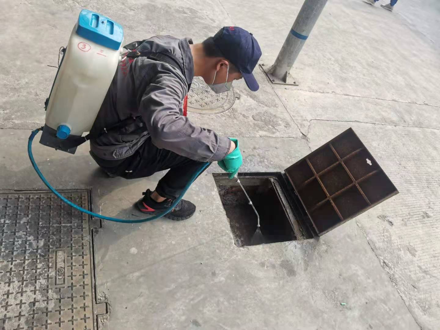均(jun1)安怎麽消滅(miè)老鼠哪家專業(yè)