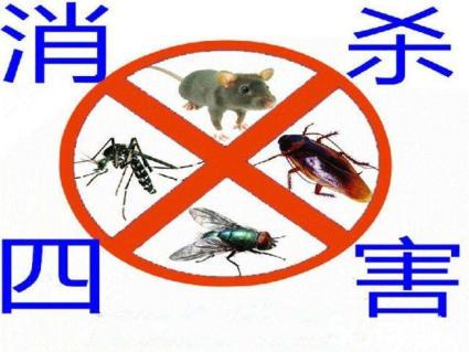 專業除四害 專業除(chú)四害