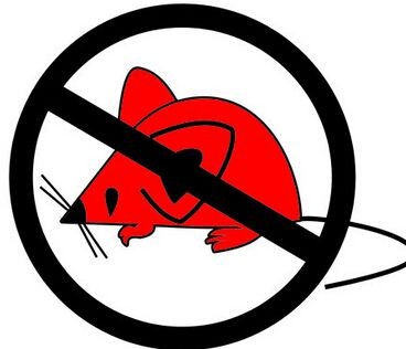 六(liù)安抓(zhuā)老鼠環保無異味,一小時快速(sù)----上門處理