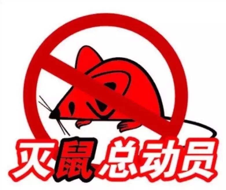 棗莊（zhuāng）滅鼠除蟲滅鼠滅蟑螂四害消（xiāo）殺螞蟻滅白蟻