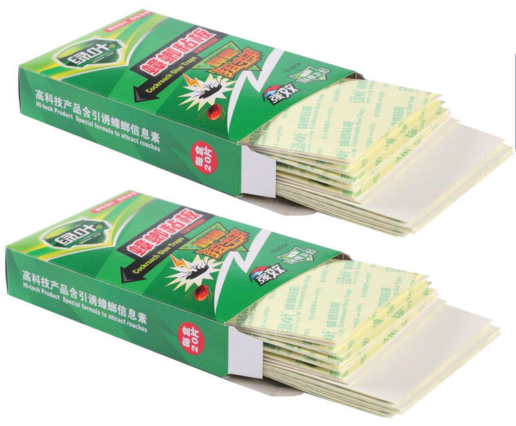 滅蟑螂 滅蟑(zhāng)螂